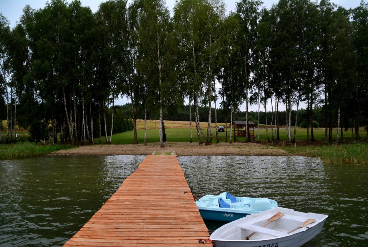 Villa Siedlik Agroturystyka - Spokojne Miejsce Dla Ciebie I Twojej Rodziny Lidzbark Welski Exterior foto