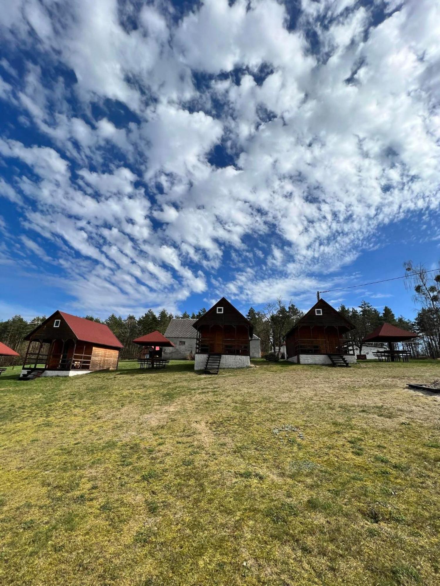 Villa Siedlik Agroturystyka - Spokojne Miejsce Dla Ciebie I Twojej Rodziny Lidzbark Welski Exterior foto